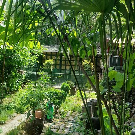 Gardens In Vake, Tbilisi 호텔 외부 사진