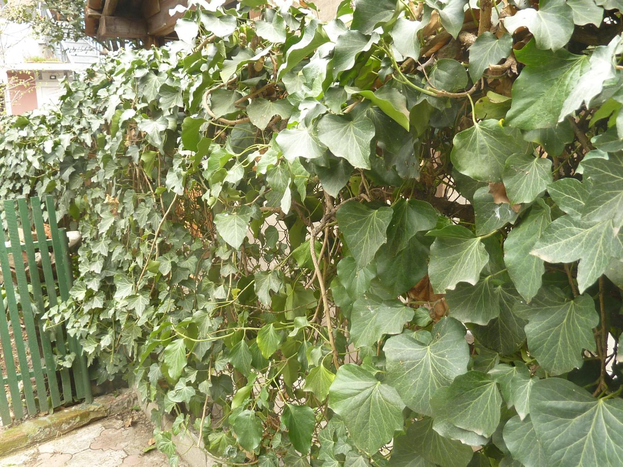 Gardens In Vake, Tbilisi 호텔 외부 사진