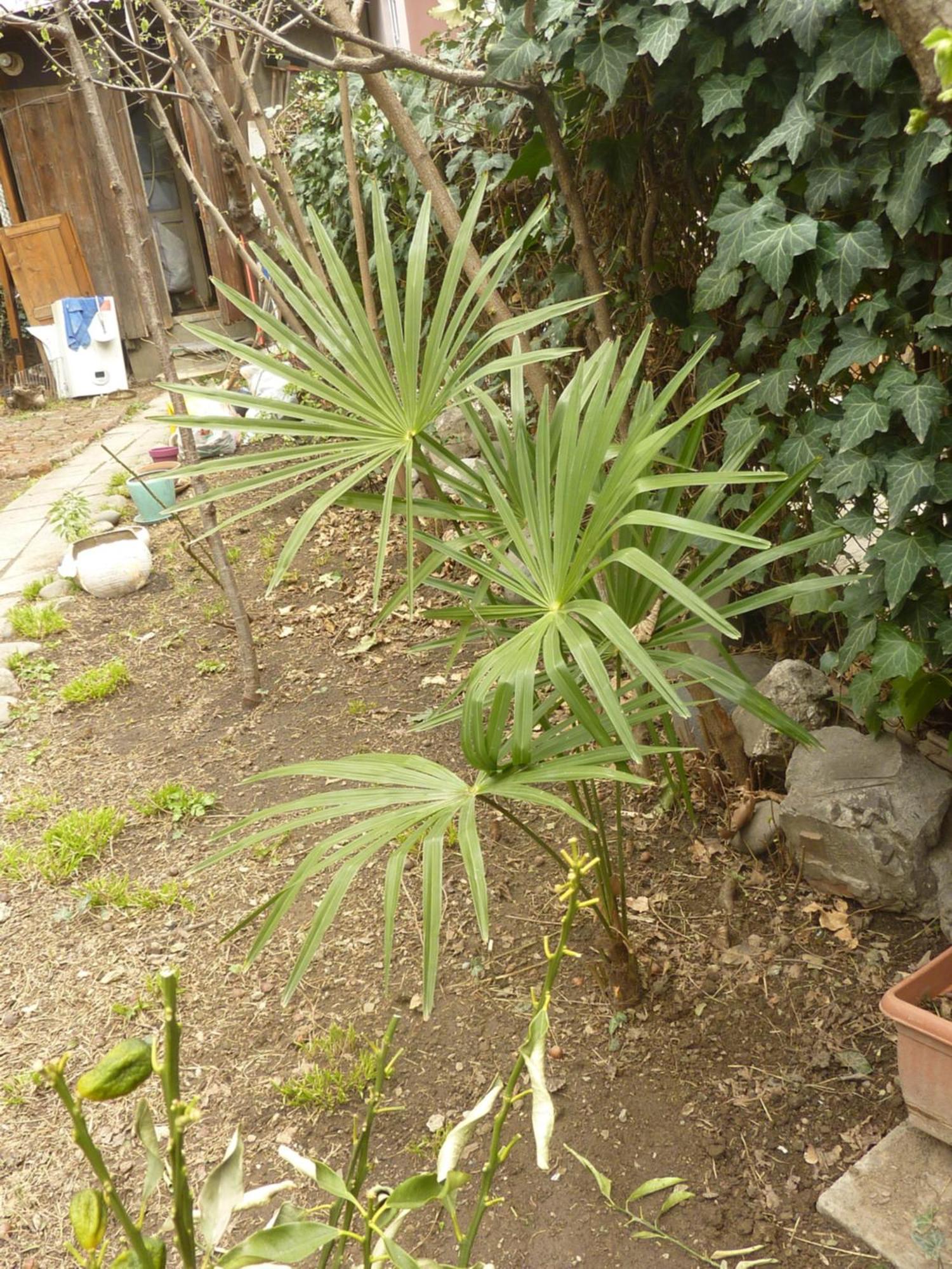 Gardens In Vake, Tbilisi 호텔 외부 사진