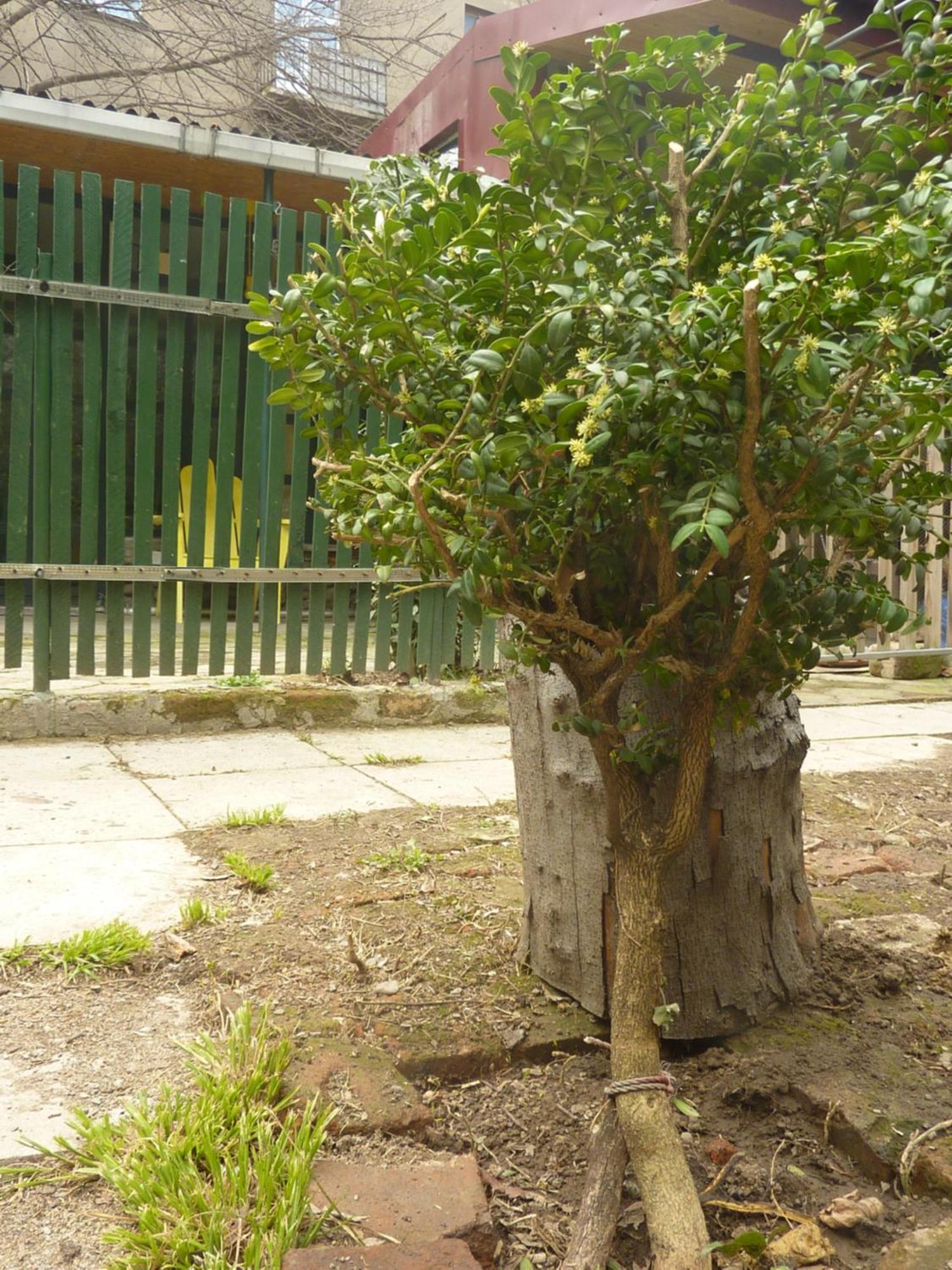 Gardens In Vake, Tbilisi 호텔 외부 사진